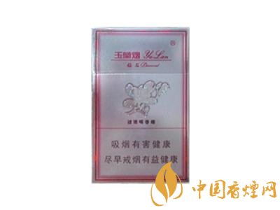 外烟拍照